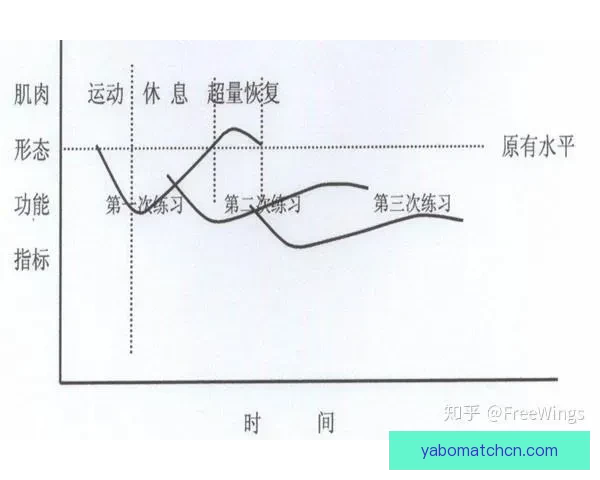 卡莱尔透露哈利伯顿伤病恢复顺利 已开始进行力量训练